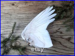 Preserved Willow Ptarmigan White Nordic Partridge Grouse Wing, Taxidermy, Smudging Wand Crafting Material, Rustic Cabin Wedding Decor