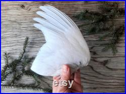 Preserved Willow Ptarmigan White Nordic Partridge Grouse Wing, Taxidermy, Smudging Wand Crafting Material, Rustic Cabin Wedding Decor