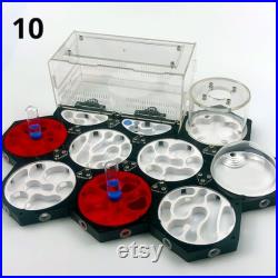 Professional Space Station with High Quality 3D Feeding Area Ant Nest, Moisturizing Idea, Farm House, Ant Farm, Anthill, Nest for Breeding