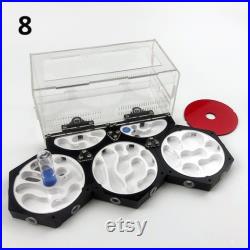 Professional Space Station with High Quality 3D Feeding Area Ant Nest, Moisturizing Idea, Farm House, Ant Farm, Anthill, Nest for Breeding