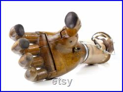 Prothèse de bras vintage articulée avec pince mécanique et main en bois articulée Mi-XXe Cabinet de curiosités