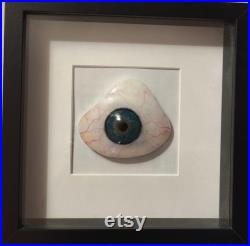 Prothèse oculaire, il, résine, cadre il, décoration il, décoration cadre il, taxidermie
