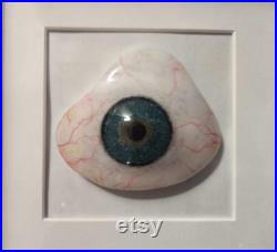 Prothèse oculaire, il, résine, cadre il, décoration il, décoration cadre il, taxidermie