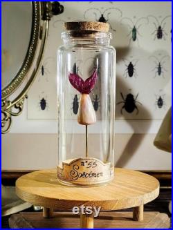 Queue de sirène en verre sur socle en liège dans un flacon en verre d'apothicaire pour cabinet de curiosité et médiéval fantastique
