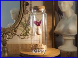 Queue de sirène en verre sur socle en liège dans un flacon en verre d'apothicaire pour cabinet de curiosité et médiéval fantastique