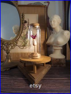 Queue de sirène en verre sur socle en liège dans un flacon en verre d'apothicaire pour cabinet de curiosité et médiéval fantastique