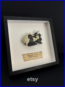 RELICANTH 369 Figurine de collection style taxidermie and entomologie sous cadre RELICANTH 369 Figurine de collection style taxidermie and entomologie sous cadre