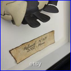 RELICANTH 369 Figurine de collection style taxidermie and entomologie sous cadre RELICANTH 369 Figurine de collection style taxidermie and entomologie sous cadre