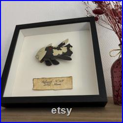 RELICANTH 369 Figurine de collection style taxidermie and entomologie sous cadre RELICANTH 369 Figurine de collection style taxidermie and entomologie sous cadre
