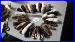 Rabbit Foot Patte de Lapin Chanceuse