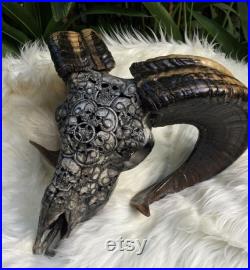 Ram Goat Skull Buffalo Skull Bull Skull Gothic Skeleton Decor Bali Art Skull Animal Skull Gris