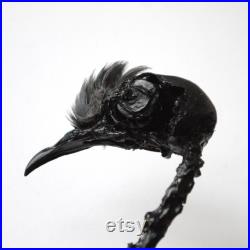 Rare vrai crâne de pigeon laissé par un prédateur peint en noir cabinet de curiosité décor gothique sorcellerie relique de pigeon Rare vrai crâne de pigeon laissé par un prédateur peint en noir cabinet de curiosité décor gothique sorcellerie relique de pigeon
