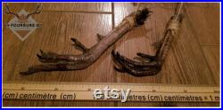 Real Genuine Wild Turkey Feet Authentique Patte de Dindon Sauvage