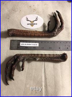 Real Genuine Wild Turkey Feet Authentique Patte de Dindon Sauvage