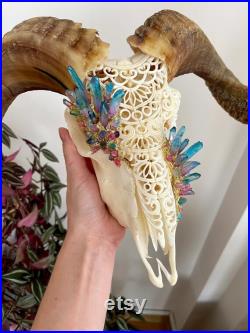 Real ram skull with hand carving and crystal