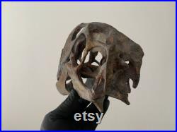Réplique de crane d'Oviraptor replica skull museum quality