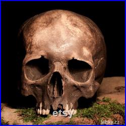 Réplique de crâne humain Sargas Dark