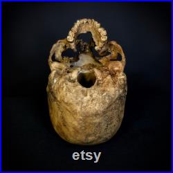 Réplique du crâne humain (mâle, allongé, déformation intravitale), plastique. La première copie de l original.