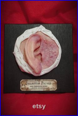 Reproduction de modèle anatomique d'oreille en cire