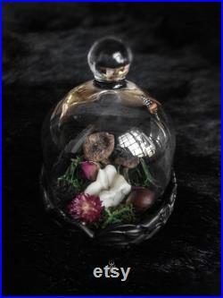 Rose and Mushroom Coquette Cloche Rose and Mushroom Coquette Cloche