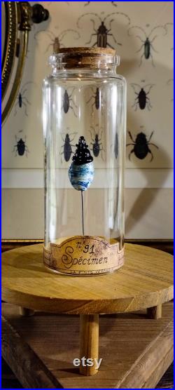 Scarabée en verre sur socle en liège dans un flacon en verre d'apothicaire pour cabinet de curiosité et collection d'insectes