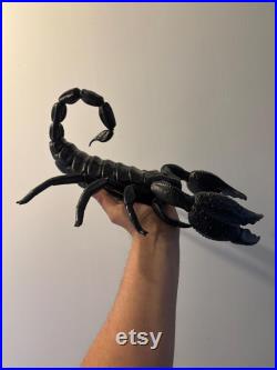 Scorpion géant de 40 cm Oddities Cabinet de curiosités