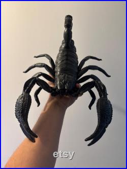 Scorpion géant de 40 cm Oddities Cabinet de curiosités