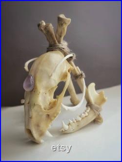Sculpture d os, Crâne de vison totem, Crâne d animal, Crâne réel, Taxidermie, Art osseux, Curiosités, Curiosités, Curiosité curiosité, Curiosité curiosité, Os, Crâne, Sorcière