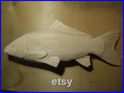 Sculpture en bois 3D de 40 cm de carpe de poisson, carpe écailleuse, carpio de Cyprinus, carpe commune, sculpture à la main du bois