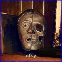 Sculpture gothique à moitié crâne Réplique de crâne humain montée Décor de maison bizarre.