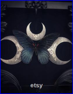 Sorcière Heure Lune Papillon