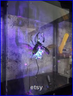 Steampunk Cyborg Coléoptère Mécanique Insectes Insectes Cinétique Sculpture Art Biomécanique Cool Idées Cadeaux Uniques pour Hommes Insect Lover Table Décor