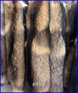 Tanned Finn Raccoon Dog Tanuki Fur Pelt (Asiatique) LIVRAISON GRATUITE nouveau lot 3-15-23