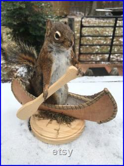 Taxidermie Bel écureuil pin pagayer dans canoë Log Cabin Hunting Decor Tamiasciurus hudsonicus
