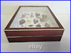 Taxidermie Cabinet de curiosité boite papillons (Deyrolle)vers 1960