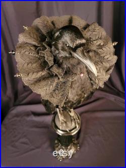 Taxidermie Corneille