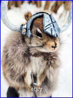 Taxidermie Écureuil roux Viking