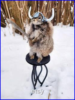 Taxidermie Écureuil roux Viking