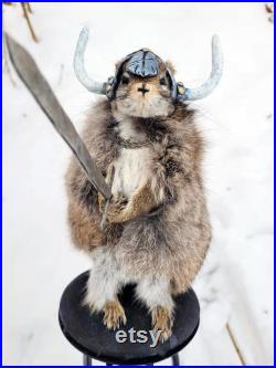 Taxidermie Écureuil roux Viking