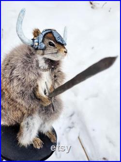 Taxidermie Écureuil roux Viking