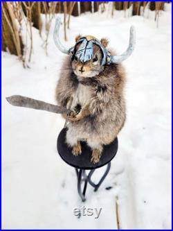 Taxidermie Écureuil roux Viking