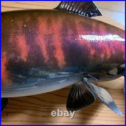 Taxidermie F-Craft Amont Poisson Landlock Sakuramasu Crooked Nose Shagged Male