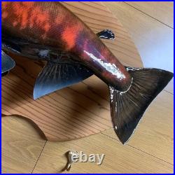 Taxidermie F-Craft Amont Poisson Landlock Sakuramasu Crooked Nose Shagged Male