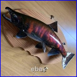 Taxidermie F-Craft Amont Poisson Landlock Sakuramasu Crooked Nose Shagged Male