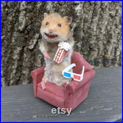 Taxidermie Hamster Regarder des films. Petit hamster de taxidermie réel en chaise confortable avec pop-corn et lunettes 3D. Taxidermie Art fait sur commande
