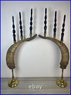 Taxidermie Paire Corne de Bouc (60cm) Candélabre/chandelier. Cabinet de Curiosité