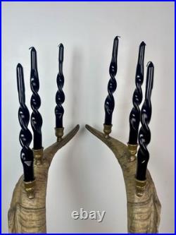 Taxidermie Paire Corne de Bouc (60cm) Candélabre/chandelier. Cabinet de Curiosité