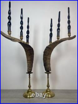Taxidermie Paire Corne de Bouc (60cm) Candélabre/chandelier. Cabinet de Curiosité