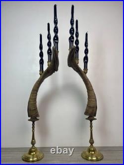 Taxidermie Paire Corne de Bouc (60cm) Candélabre/chandelier. Cabinet de Curiosité