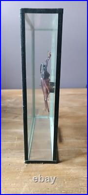 Taxidermie Superbe CTENOSCELIS COEUS, Amazonie, Gigantus